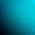 濡れないゆえにすぐ乾くという悪循環を、とりあえず乗り切る方法（その２）